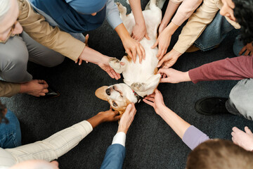 Close up top view of people petting happy dog lying on floor. Concept of love for animals