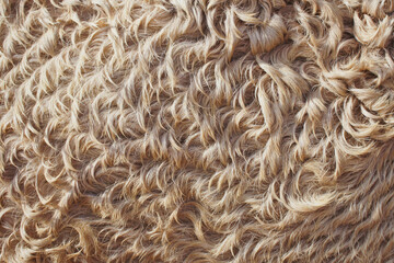 Animal hair rug