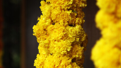 Colorful flower garland festival decoration	