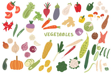 Vegetables hand drawn set. Vector illustration isolated on white background. For packaging, wall art, posters, branding,  magazines, book cover, blogs,  business, social media, greeting cards,  banner