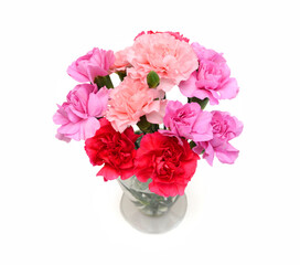 Stack Carnations on white background