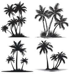 palm trees silhouettes