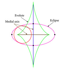 médial axis , Ellipse_symmetry_set.Vector illustration