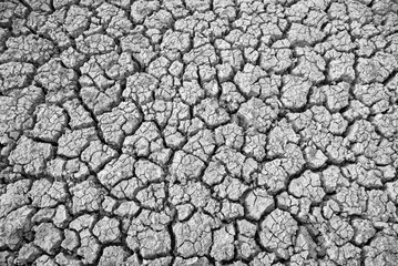 Drought, Dry and cracked land, dry due to lack of rain, Maharashtra, India.