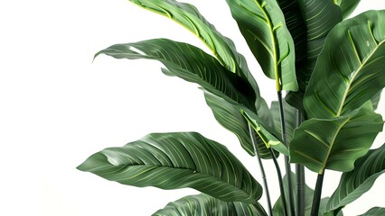 Illustration of a big indoor plant with deep green foliage. Concept Botanical Illustration, Indoor Plant Art, Lush Greenery, Detailed Foliage, Nature Inspired Art