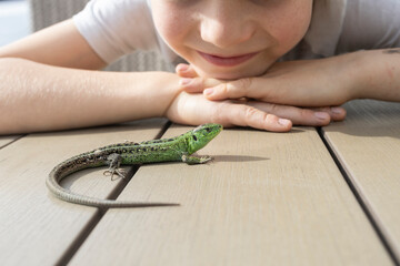 green lizard on table and child's face looking at it with interest. boy loves interesting...