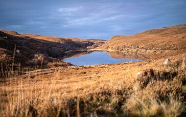 The small loch of Loch na h-Innse Gairbhe on the walking route to Slaggan Bay that runs along the stream of Allt Udrigill and starts from Achgarve near Gruinard Bay in the Scottish Highlands.