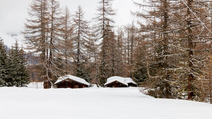 small wooden cottage immersed in the woods covered in snow