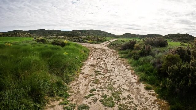 a dirt road close to Aguarales de Valdemilaz, Valpalmas, comarca of Cinco Villas, province of Zaragoza, Aragon, Spain