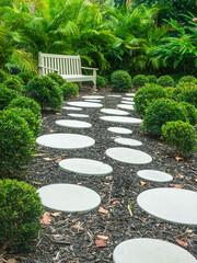 Decorative bright round steppingstones along a mulch footpath between low shrubs (unidentified...