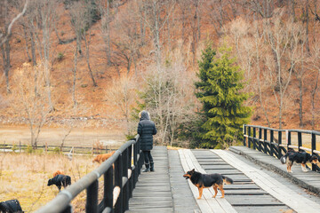 A person leisurely walks a fluffy dog across a picturesque bridge, under a clear blue sky