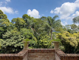 Serene Tropical Garden View with Sunny Blue Sky