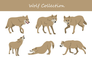 wolf collection. wolf in different poses. Vector illustration.