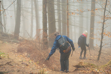 Two adventurous individuals hike through a dense forest enveloped in fog on a tranquil day