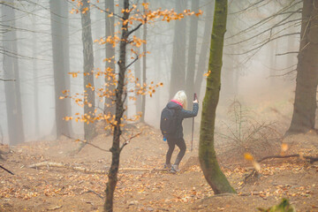 A solitary figure walks through a dense forest filled with fog, enveloped in a mysterious and...