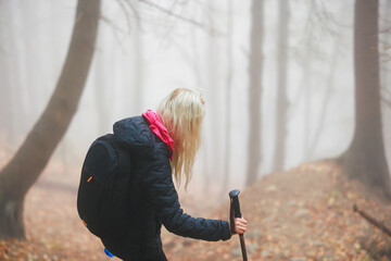 A lone woman treks through a dense forest veiled in thick fog, her silhouette barely visible amidst...