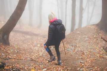 A mysterious woman walks alone on a forest trail, enveloped by thick fog, creating an eerie and...