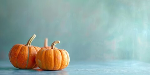 Pumpkins on an blue background. A banner with a copy space for text for autumn holidays - Halloween, Thanksgiving, harvest celebrations