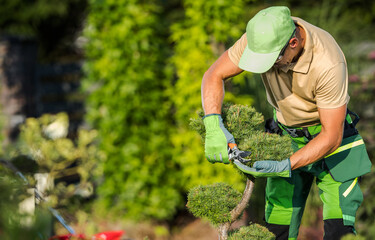 Professional Garden Worker Trimming Garden Plants Using Secateurs