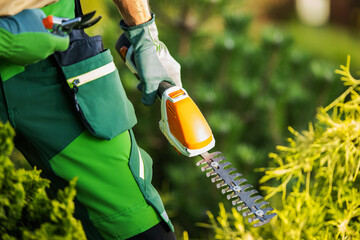 Gardener with a Cordless Plants Trimmer in His Hand