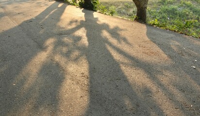 shadow of tree on road at Klong boat water reservoir lake in Thailand 