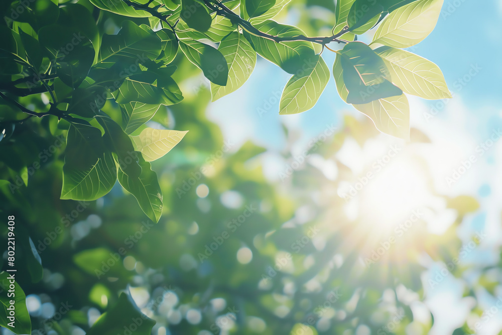 Poster sunlight filtering through fresh green leaves on a clear day in spring