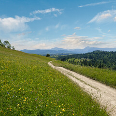 Summer Chornohora massiv mountains scenery view from Sevenei hill (near Yablunytsia pass,...