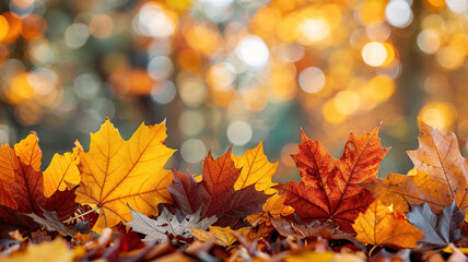 Naklejka na ściany i meble Autumn background. Yellow maple leaves on a forest background.