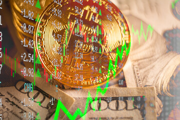 usd dollar and bitcoin golden coin with green market trend up 