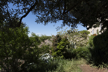 Village de Provence, sous les  oliviers