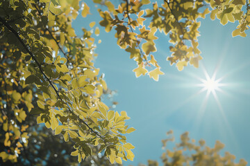 Bright sunlight filters through vibrant green leaves on a clear day in a serene outdoor setting