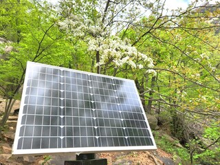 solar battery installed in the mountains surrounded by flowers, saving natural resources,...