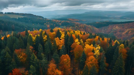 aerial view of forest in autumn, beautiful colours and mountains 3