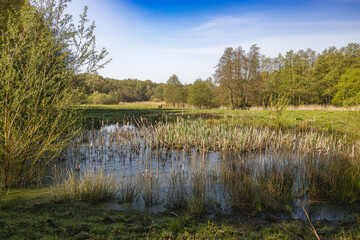 A small pond in the Höltigbaum nature reserve