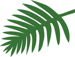 minimalistic flat vector palm leaf summer illustration on white background isolated	