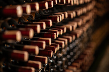 Row of wine bottles on a wooden shelf in a wine cellar
