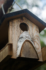 a wooden bird feeder suspended from a maple branch on an spring day.