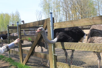 A summer day well spent with lots to do!