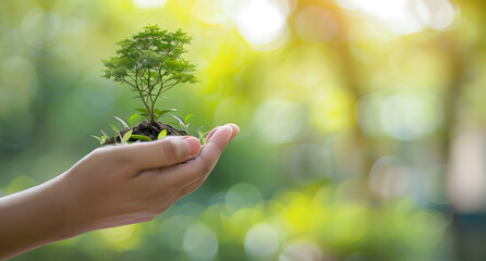 Hand holding tree on blur green nature background. Green environment earth day concept.