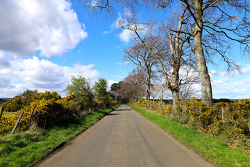 Spring country road view in Scotland, UK
