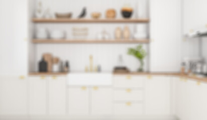 Classic kitchen style, Cabinet built-in for background. Blur background. 3D illustration
