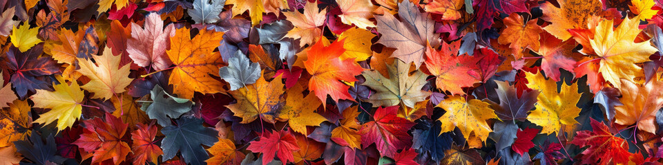 A large collection of colorful autumn leaves