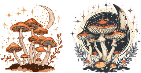 Mystic mushrooms. Celestial witchy mushroom with mystical elements, moon phase esoteric stars