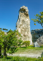 Sicily [Italy]-Siracusa-Neapolis Archaeological Park-Latomia del Paradiso (Latomia of Paradise)