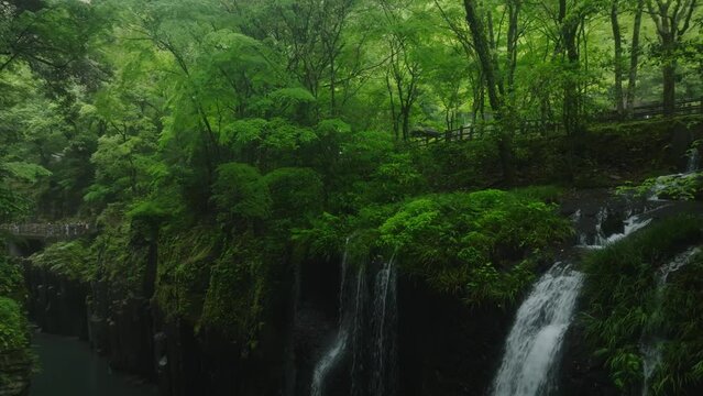 240422_miyazaki_0238