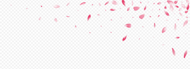 3360X1225pan1-09__Violet_Sakura1_01.eps