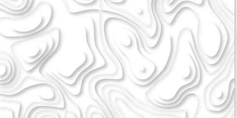 Abstract design with black and white abstract papercut and multi-layer cutout geometric pattern on vector Topographic canyon geometric map relief texture with curved layers beautiful design.