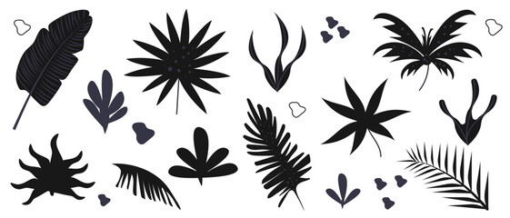 Set of hand drawn tropical leaves in black and white colors. Abstract natural shapes in a trendy minimalist style. Vector illustration.