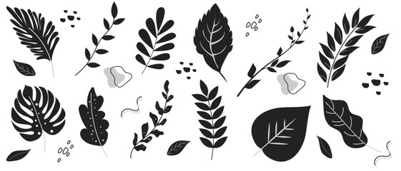 Set of various hand drawn leaves in black and white colors on a white background. Abstract natural shapes in a trendy minimalist style. Vector illustration.