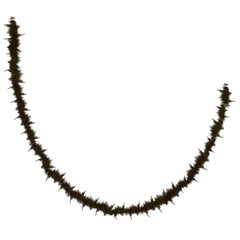 christmas tree decoration